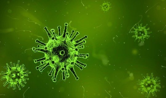 virus